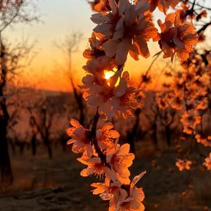 春娇与志明（钢琴片段）