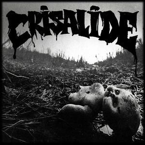 Stop Policy, Go Anarchy