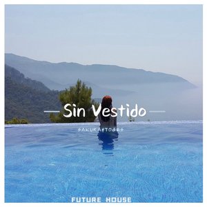 Sin Vestido