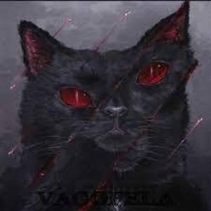 Caballeros De La Noche