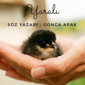 Yaralı