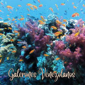 Te regalo un galeron (En vivo)