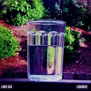 Liquidize
