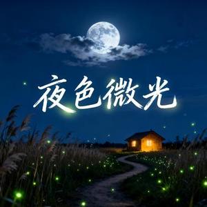 夜色微光