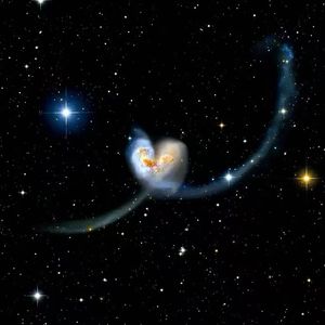 光锥之内皆是命运2.0