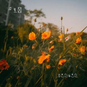 若思念便思念 (Cover 周深)
