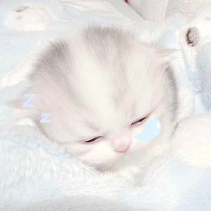 2025年09月24日 00点06分