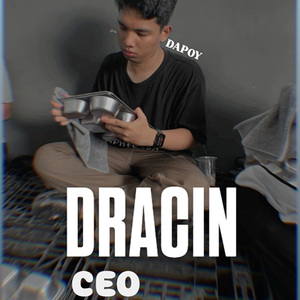 DRACIN CEO