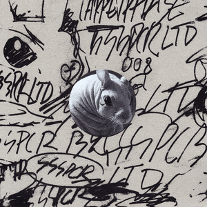 Carpetphace (Original Mix)