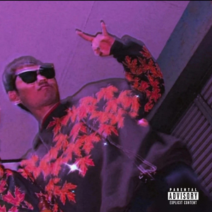 เมียไม่อยู่หนูร่าเริง