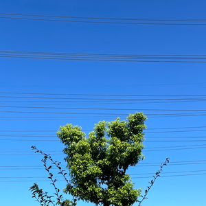 恋愛進行時