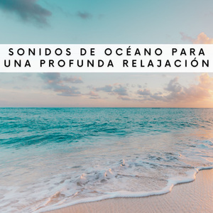 Conservación De La Costa Marina