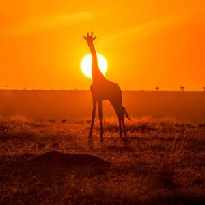 Working Man (feat. MCJ LEVIS)