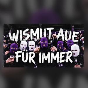 Wismut Aue für immer