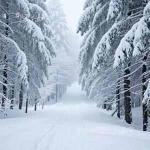 为什么最爱的人伤我最深 (Cover 烟嗓船长)