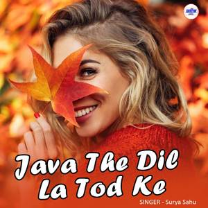 Java The Dil La Tod Ke