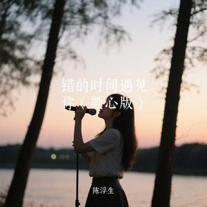 错的时间遇见你 (陈浮生 Remix)