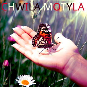 Chwila motyla