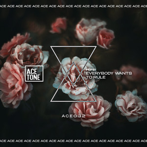 Everybody Wants to Rule the World (Original Mix)