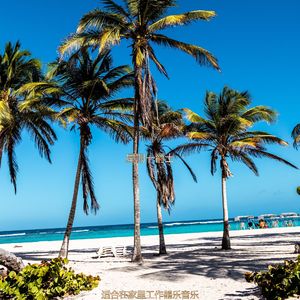 办公室工作离散的波萨诺伐舞曲