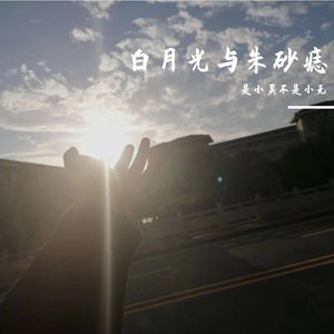 白月光与朱砂痣
