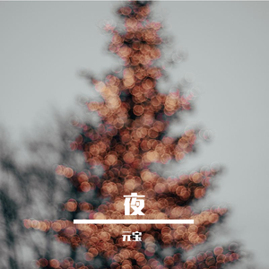 陈慧娴-夜机（元宝 remix）