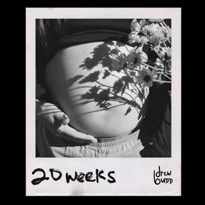 20 Weeks
