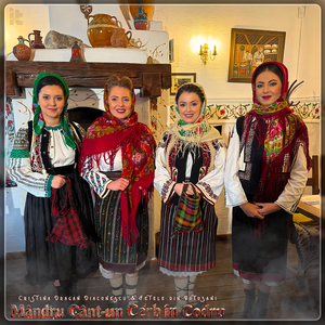 Mândru Cânt-Un Cerb În Codru