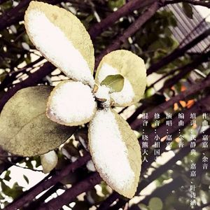 致最爱的你（写给粉丝们的歌）