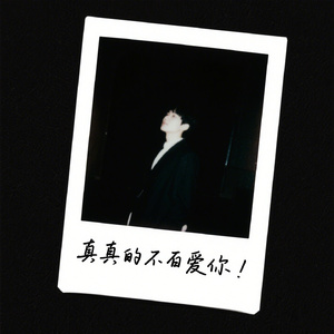 真的不爱你