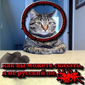 БЕРБЕРСКИЕ НАРОДЫ