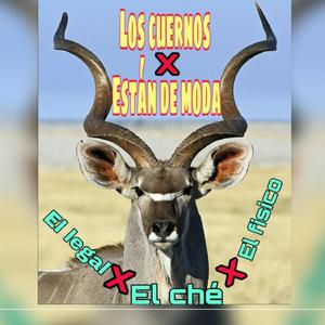 Los Cuernos Están de Moda (feat. El Ché & El Físico)