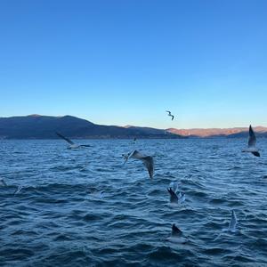 Whispers of Eternity