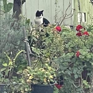 Stay up (feat. Calebjuarez.)