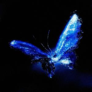 Star Crossing Night (feat. GALI)