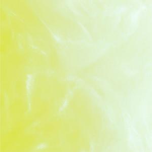 contigo siempre voy a estar (with belly)