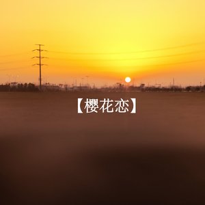 《樱花恋》