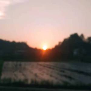 爱丫爱丫（cf）