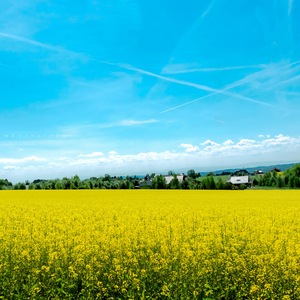 명상 (내려놓음)