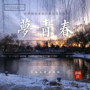 半个 梦青春 伴奏（错版）