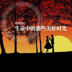 往日时光（翻自 谭维维）