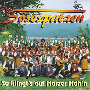 Wenn Du im Harzwald bist