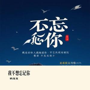 我不想忘记你 (Cover 郭静)