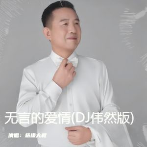 无言的爱情 (DJ版)