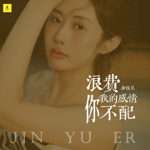 浪费我的感情你不配 (卡点节奏版)