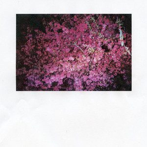 lease a bugatti, light it on fire _ drive it top speed down the empty desert highway at night