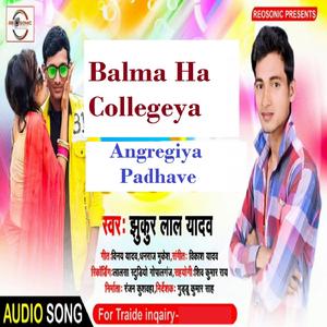 Balma Ha Collegeya