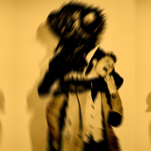 White Doves Fly High