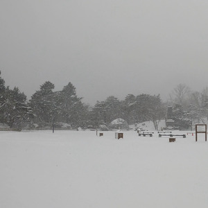 コロナがくれたもの