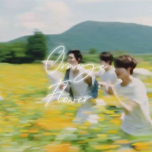 Orange Flower【中文填词版】